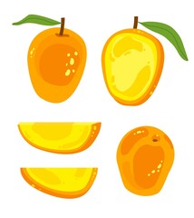 Fresh bright mangoes. Set of isolated elements on a white background. A balanced diet of healthy fruits and vegetables.