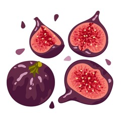 Hand drawn figs. Set of isolated elements on a white background. A balanced diet of healthy fruits and vegetables.