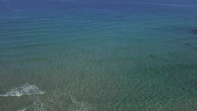 Shore reveal