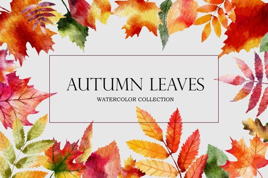 Autumn leaves poster. Autumn fall template for brochures, posters, presentations 