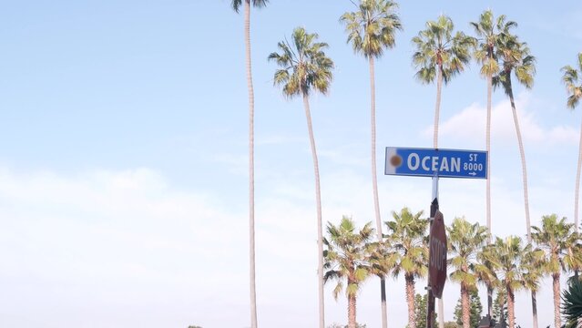 Ocean street road sign on crossroad, California city, USA. Waterfront tourist resort near Los Angeles, beachfront travel destination for waterside summer vacations. Coastal palm trees in La Jolla.