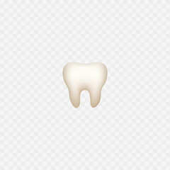 Tooth icon. Isolated on white. Realistic tooth. Vector