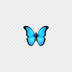 Blue Butterfly emoji. Isolated on white. Beautiful Butterfly realistic icon. Vector