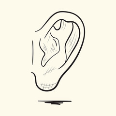 Ear. Hand drawn vector illustration.