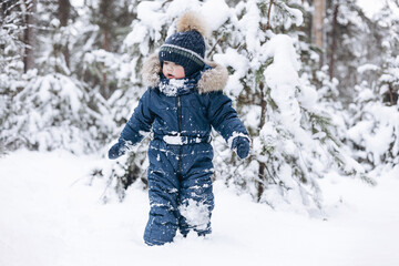 Fototapeta na wymiar Child walking in snowy pine forest. Rear view of little kid boy having fun outdoors in winter nature. Christmas holiday. Cute toddler boy in blue overalls and knitted scarf and cap playing in park.