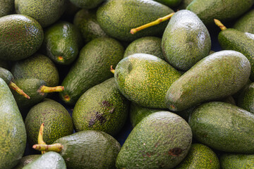 Сlose up avokado background. Fresh  vegetables variety grown in the shop.