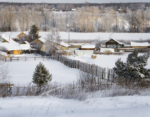 Panorama of the Ural village (Russia) on a cold winter day. Wooden houses with smoke from chimneys, vegetable gardens covered in drifts of white snow. Birches in an openwork white dress. 