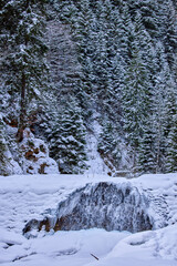 winter images with a mountain river. idyllic landscape