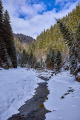 winter images with a mountain river. idyllic landscape