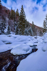 Fototapeta premium winter images with a mountain river. idyllic landscape
