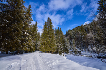 beautiful mountain landscape in winter in the Carpathian mountains Romania