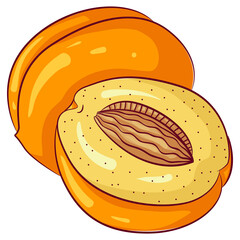 Vector cartoon illustration of whole and half apricot fruit isolated on white. Healthy farm fruit, organic product, summer food. Food Icon. Design for cookbook, restaurant business.
