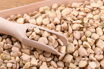 Dry Cicerchia or indian pea on a wooden scoop, close up, food gluten free. Legumes known as Lathyrus Sativus, Chickling Vetch, Blue Sweet Pea made in Puglia, top view
