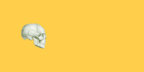 Human Skull Illustration on Yellow Background. Color Halftone Effect. 