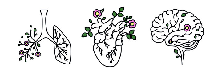 Blooming heart lungs and brain line icon. Mind concept. Love Life New Page. Vector illustartion