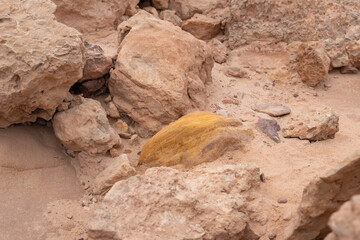 Quartz  inclusions in sandy mountains in Timna National Park near Eilat, southern Israel.