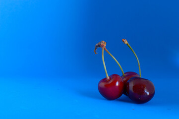 Fresh sweet cherries with stalk from Dalmatia, isolated on a blue background, summertime fruit