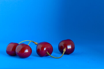 Fresh sweet cherries with stalk from Dalmatia, isolated on a blue background, summertime fruit