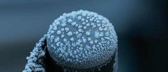 Frozen ice crystals 