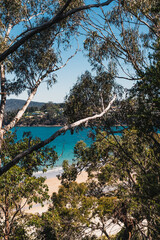 beautiful scenary of the Pacific Ocean and thick native vegetation shot from a vantage point during...