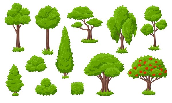 Cartoon tree and bush. Green trees, garden bushes. Forest elements, nature country landscape. Isolated shrub in grass, backyard flat plants, garish vector set