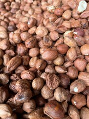 large vertical photo. healthy natural nuts. a lot of peeled hazelnuts in a box close-up. uneven hazelnut grains. eco.