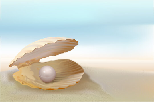 shell and pearl on the beach sea blue sky sunny day relax bright marine