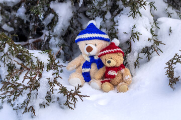 Two teddy bears in wool bobble hats and scarfs sitting on the snow beside pine tree 