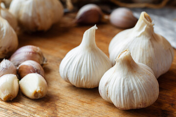Farmer garlic on rustic wooden table