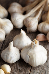 Farmer garlic on rustic wooden table