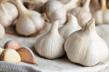 Spicy garlic on rustic cloth macro