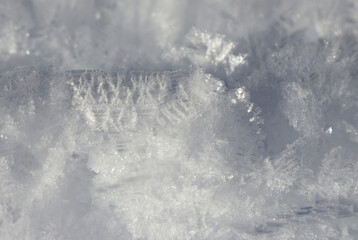 Beautiful ice crystals in the snow of Val Saisera, Italy