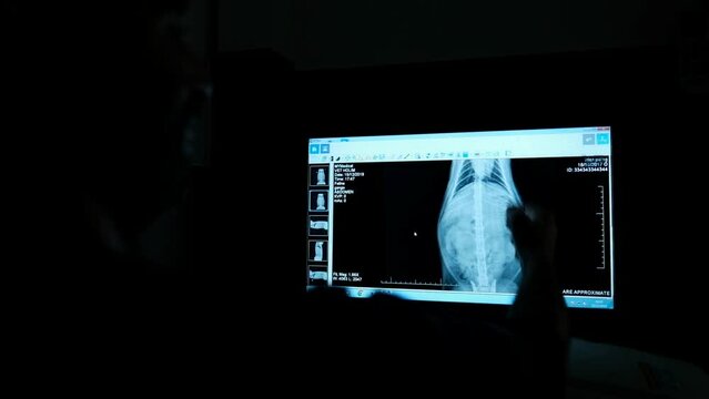 A roentgen image of a cat is showing up on a computer screen of a veterinary doctor to be inspected. his hands are showing the inside organs in a dark room environment. Israel.