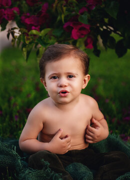 Bbaby boy is sitting in garden on the grass 