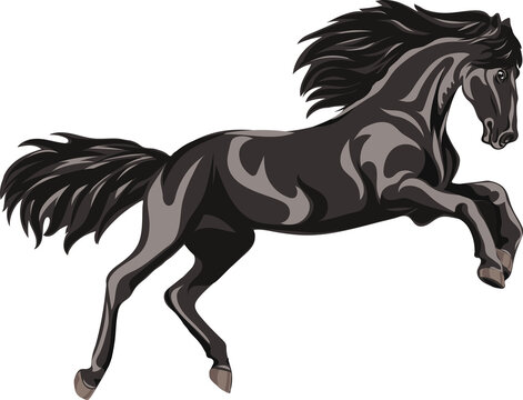 Horse, image of a galloping horse, portrait of a horse for a logo in black tones