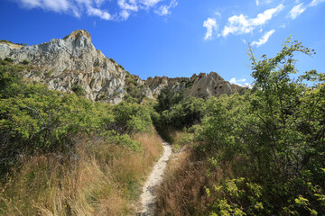 Grassy path leading up to a mountain, New Zealand