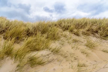 Foto auf Acrylglas Grass and Sand in the dunes at Dutch city Katwijk aan zee © Patrick Herzberg