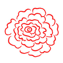 Red flower line drawing brush on white background