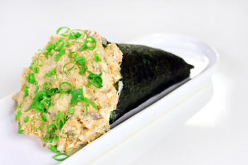 Salmon fish Temaki in white background