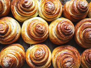 Buns with cinnamon and powdered sugar. The concept of cooking delicious food at home, homemade cakes.  Selective  focus.