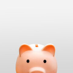 Money box for investment banking financial. Concept of save money, business, finance. Pink pig...
