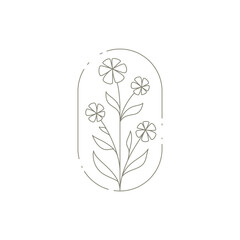 Elegant natural chamomile bouquet with stem, petal and leaves at ellipse hand drawn frame icon