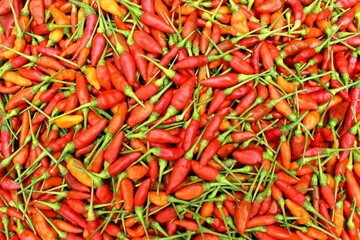Red hot chili peppers photo full frame background top view 
