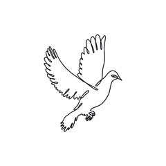 Line art style vector illustration with black dove on white background. Continuous line drawing. 