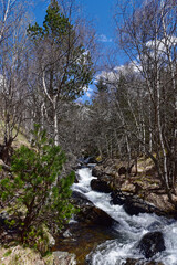 Andorra - Ordino - Valira d'Orient