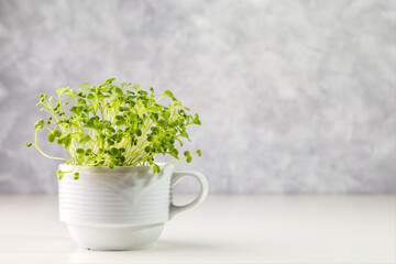 Microleaf sprouts in a white cup on a light background.