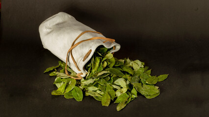 Erythroxylum coca. La COCA no es cocaina. Hojas de COCA secas que sirven para el ACULLICO  pijcho, ...