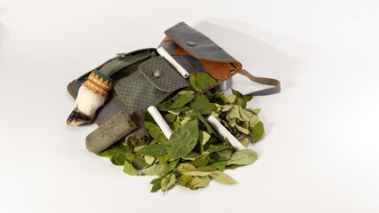 Erythroxylum coca. La COCA no es cocaina. Hojas de COCA secas que sirven para el ACULLICO  pijcho, ...