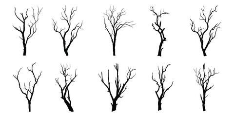 set of trees