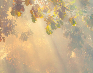 Obraz na płótnie Canvas the rays of the sun through autumn leaves 